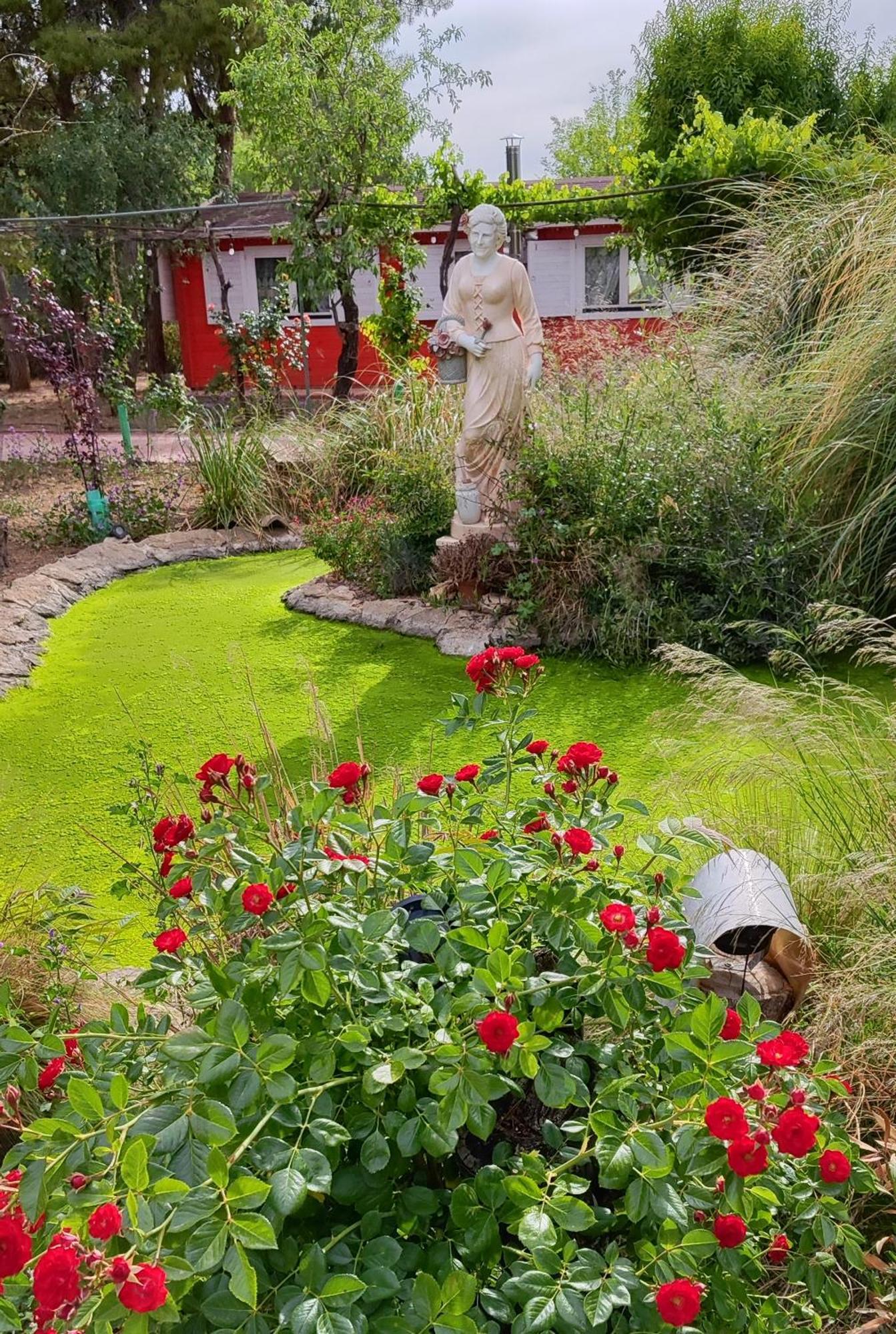 Refugio Madera Estilo Arabe Con Estatuas, Estanques Y Un Pequeno Zoo Konuk evi Albacete Dış mekan fotoğraf